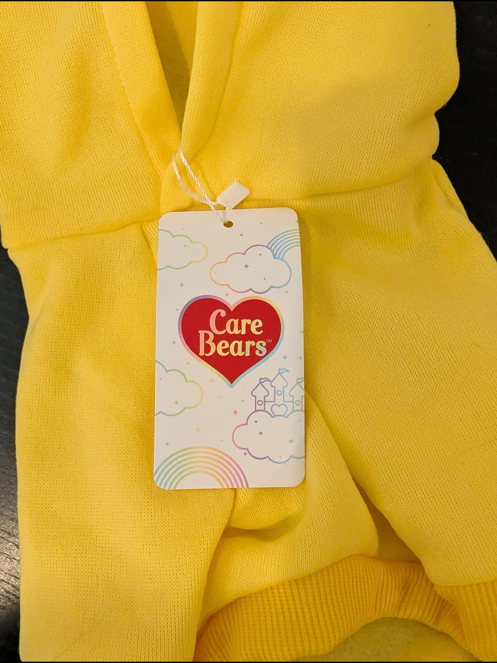 Care Bears Pet hoodie costume Funshine size small